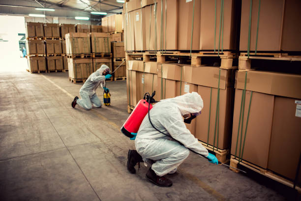 Best Emergency Pest Control  in Claude, TX