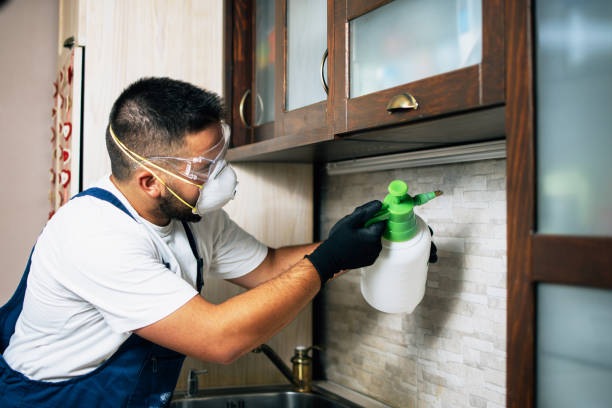 Best Exterminator Services  in Claude, TX