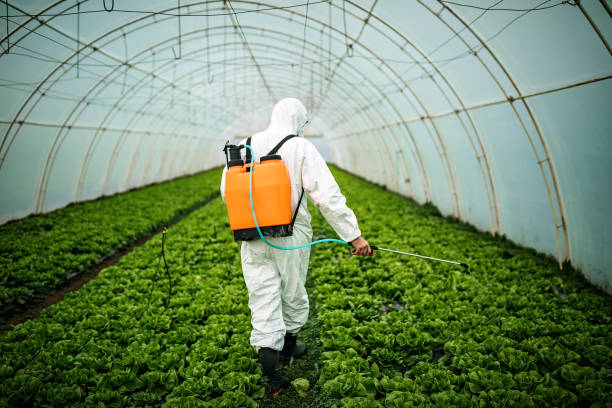 Best Local Pest Control Services  in Claude, TX