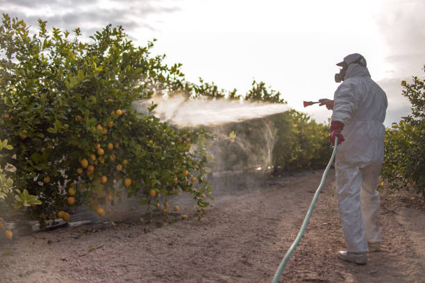 Bird Control in Claude, TX