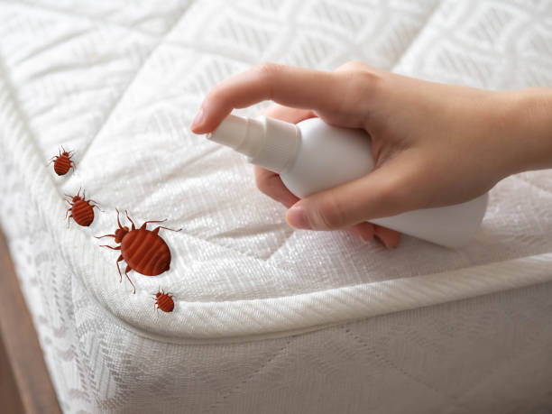 Best Pest Inspection Near Me  in Claude, TX