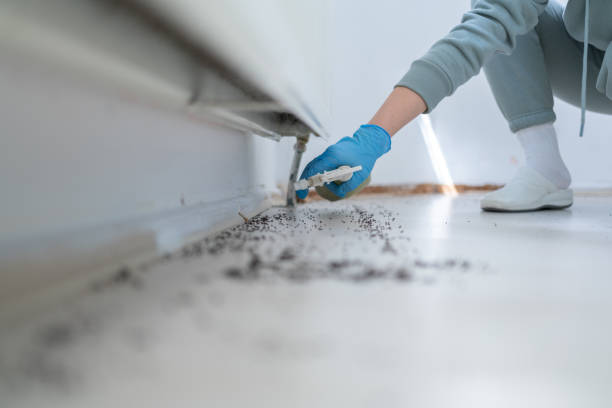 Best Rodent Control Near Me  in Claude, TX