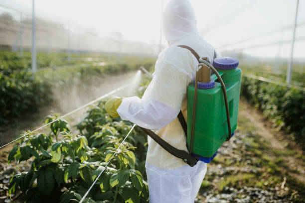 Best Pest Removal Services  in Claude, TX